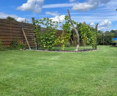 Ein Garten an der Unterkunft CASALINO DI ANNA