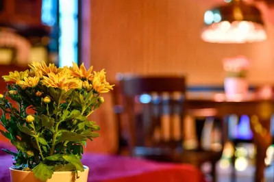 Grundriss der Unterkunft Buchholz Saloon