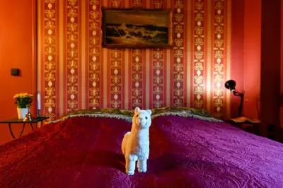 Haustiere von Gästen der Unterkunft Buchholz Saloon