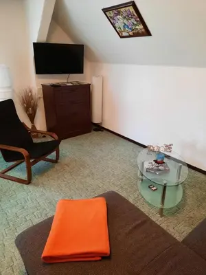 TV/Unterhaltungsangebot in der Unterkunft Ferienwohnung Gartenblick