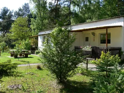Ein Garten an der Unterkunft Ferienhäuser Heideröslein