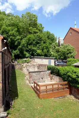 Ein Garten an der Unterkunft Roter Hirsch