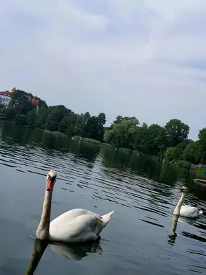 Naturlandschaft in der Nähe der Ferienwohnung