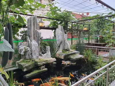 Ein Garten an der Unterkunft Chau-Asiatisches-Restaurant und Pension