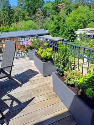 Ein Garten an der Unterkunft Oase der Ruhe 2
