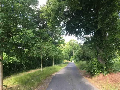 Naturlandschaft in der Nähe des Ferienhauses