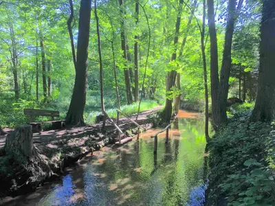 Naturlandschaft in der Nähe des Ferienhauses
