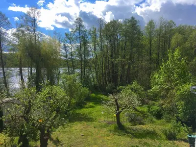 Naturlandschaft in der Nähe des Ferienhauses