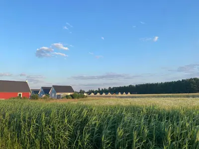 Naturlandschaft in der Nähe des Ferienhauses
