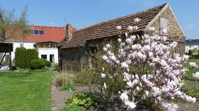 Ein Garten an der Unterkunft Pension Zur Mühle