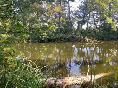 Naturlandschaft in der Nähe der Ferienwohnung