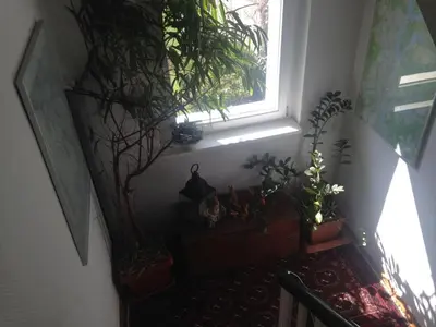 Ein Garten an der Unterkunft Ferienwohnung Heil - Königs Wusterhausen