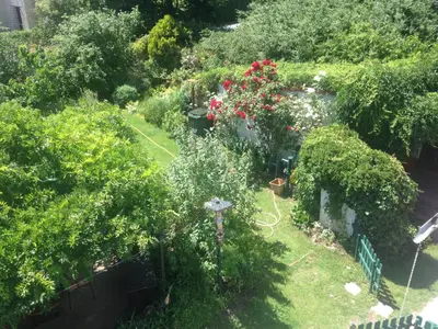 Ein Garten an der Unterkunft Ferienwohnung Heil - Königs Wusterhausen