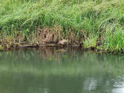 Blick auf einen Fluss in der Nähe des Ferienhauses