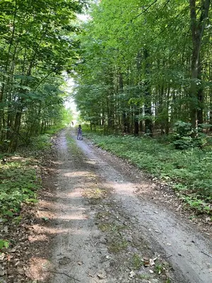Naturlandschaft in der Nähe der Ferienwohnung