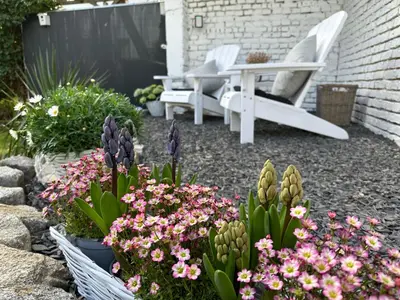 Ein Garten an der Unterkunft Remise-Berlin-Grünau your cozy and comfortable home to stay for up to 6 people between Müggelsee and Berlin city