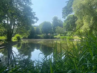 Naturlandschaft in der Nähe der Ferienwohnung