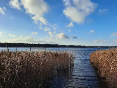 Naturlandschaft in der Nähe des Ferienhauses