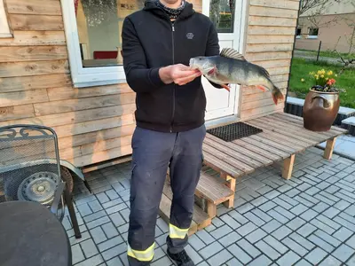 Grundriss der Unterkunft Tiny Haus am Motzener See