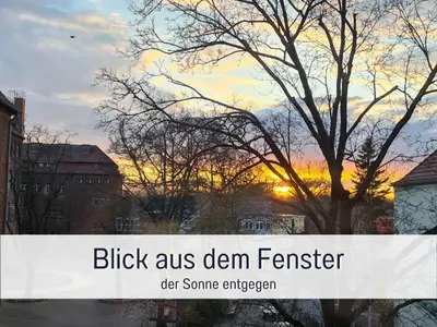 Naturlandschaft in der Nähe der Ferienwohnung