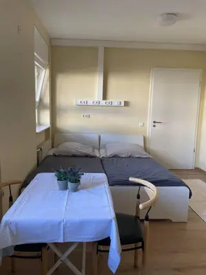 Grundriss der Unterkunft Einzimmerwohnung + Dusche und WC
